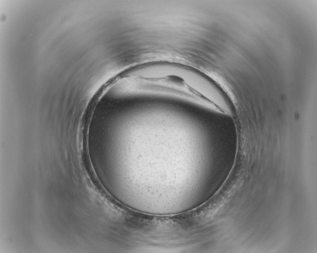 X0000088910983200706291525