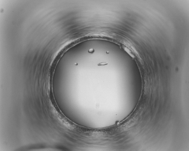 X0000088910984200706291525