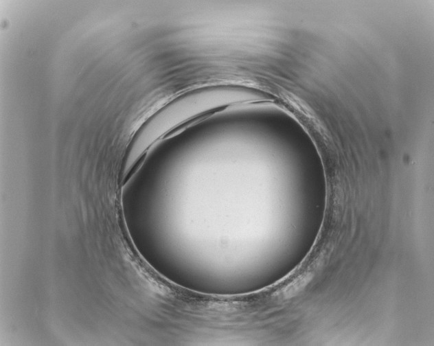 X0000088910985200706291525