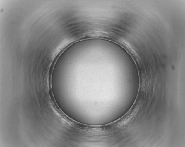 X0000088910986200706291525