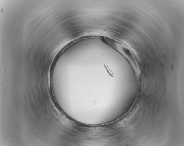 X0000088910988200706291525