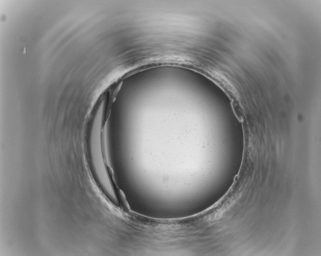 X0000088910989200706291525