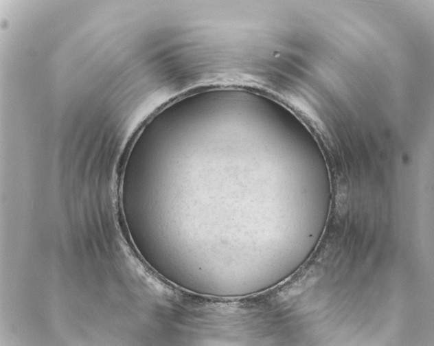 X0000088910990200706291525