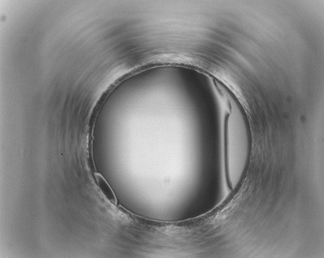 X0000088910992200706291525