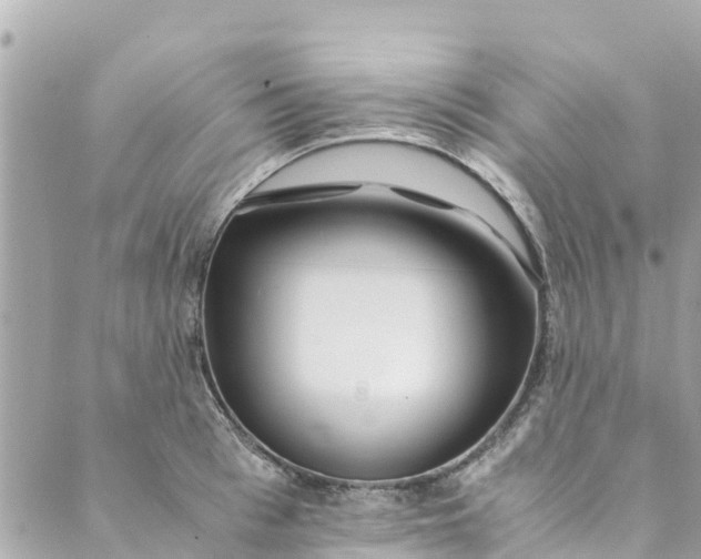 X0000088910993200706291525