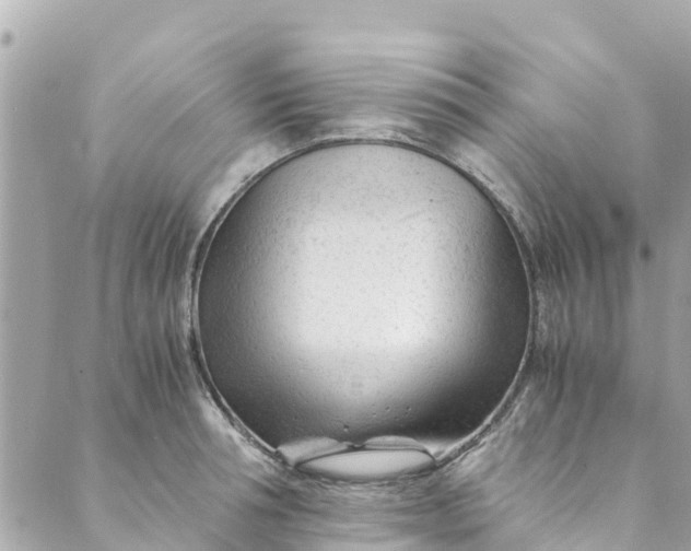 X0000088910994200706291525