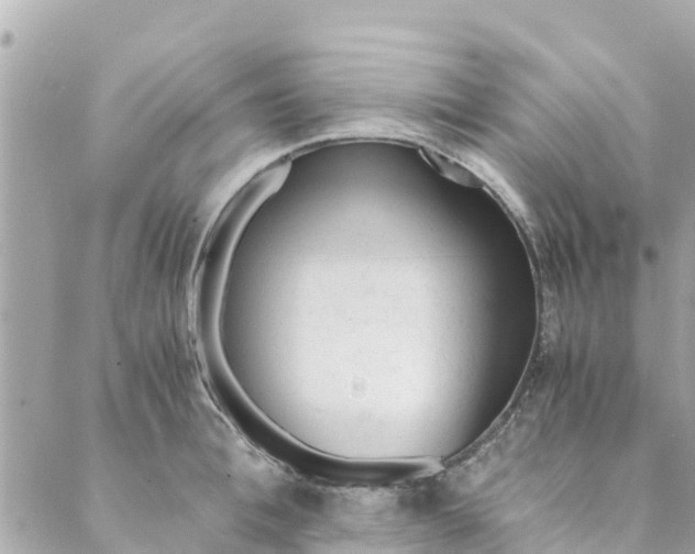 X0000088910996200706291525