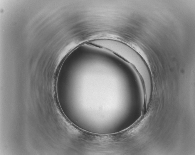 X0000088910997200706291525