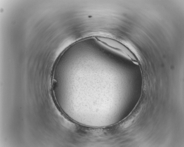 X0000088910999200706291525