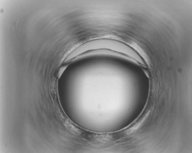 X0000088911001200706291525