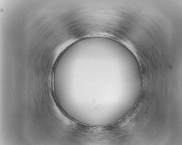 X0000088911003200706291525