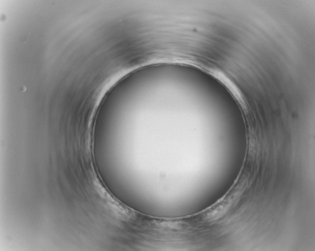 X0000088911004200706291525