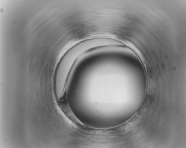 X0000088911005200706291525