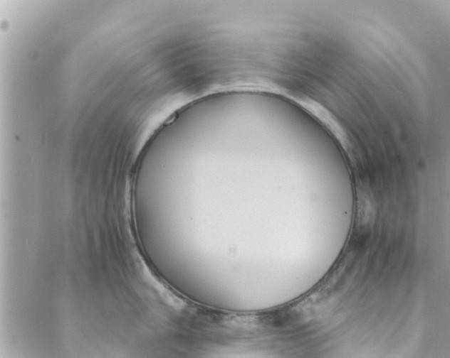 X0000088911006200706291525