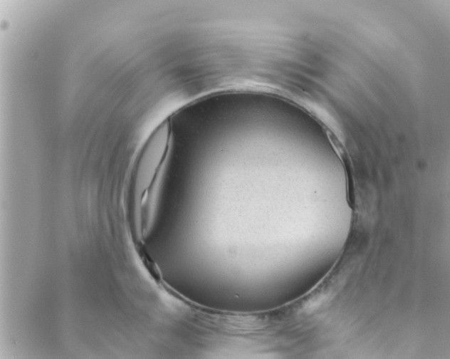 X0000088911007200706291525