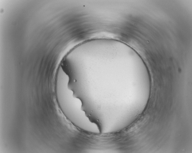 X0000088911008200706291525