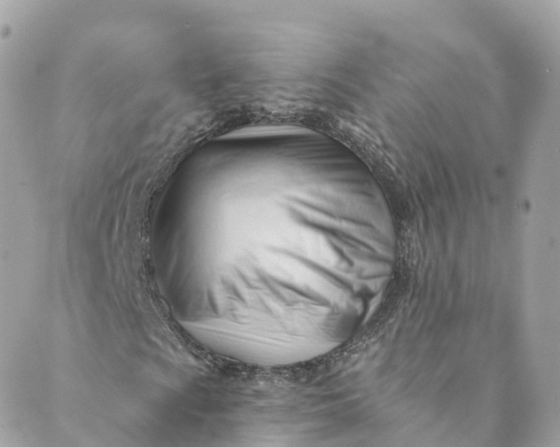 X0000088911009200706291524