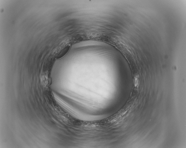 X0000088911011200706291524