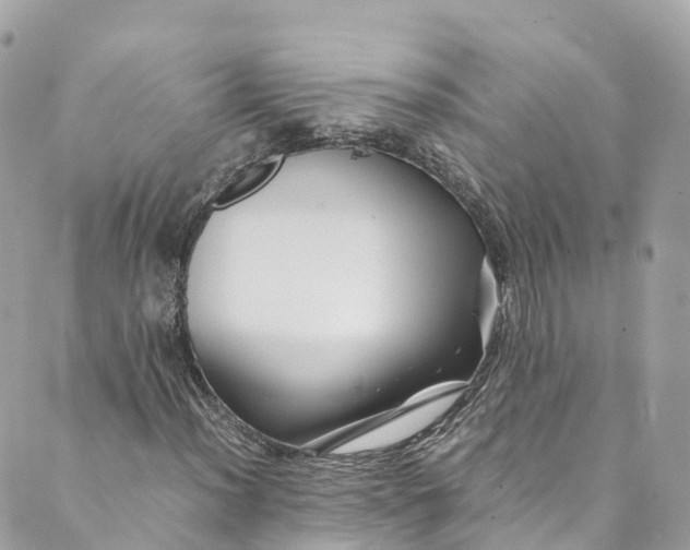 X0000088911012200706291524