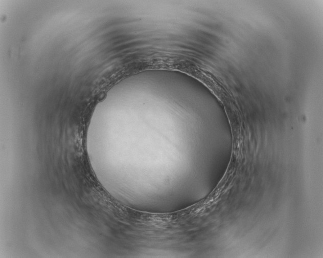 X0000088911013200706291524