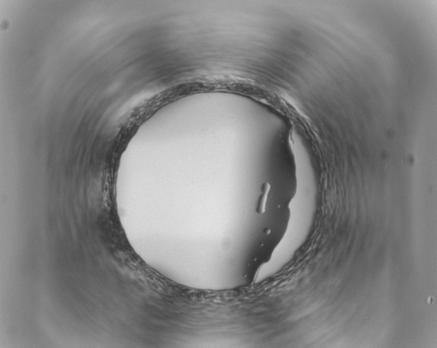 X0000088911016200706291524