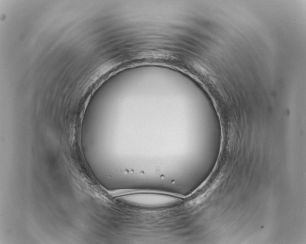 X0000088911017200706291524