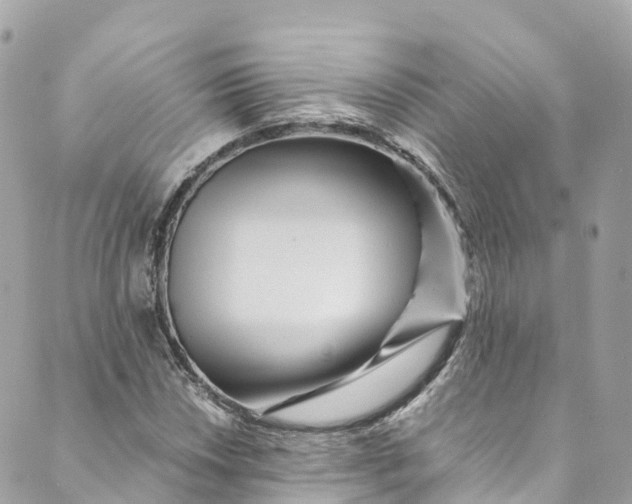 X0000088911018200706291524