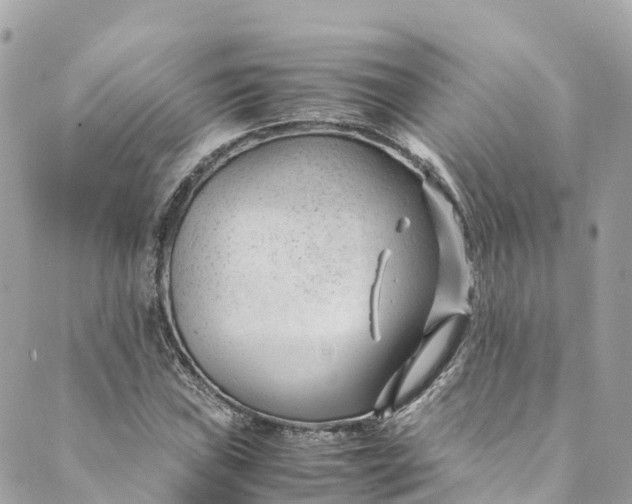 X0000088911019200706291524