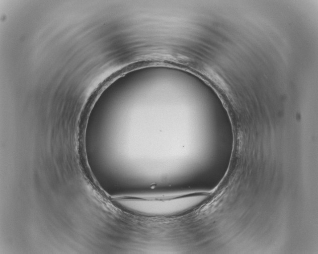 X0000088911020200706291524