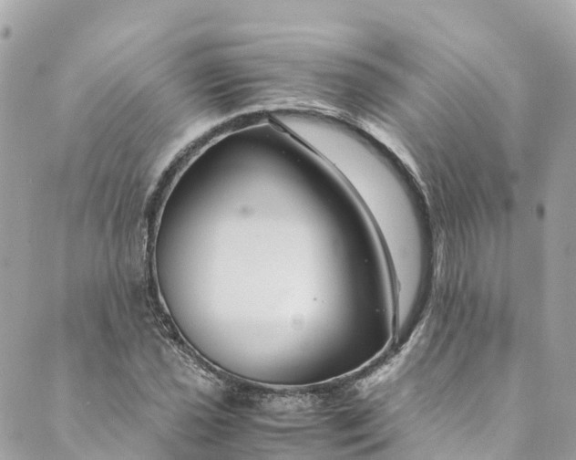 X0000088911021200706291524