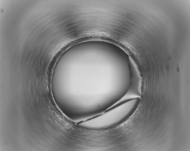 X0000088911022200706291524