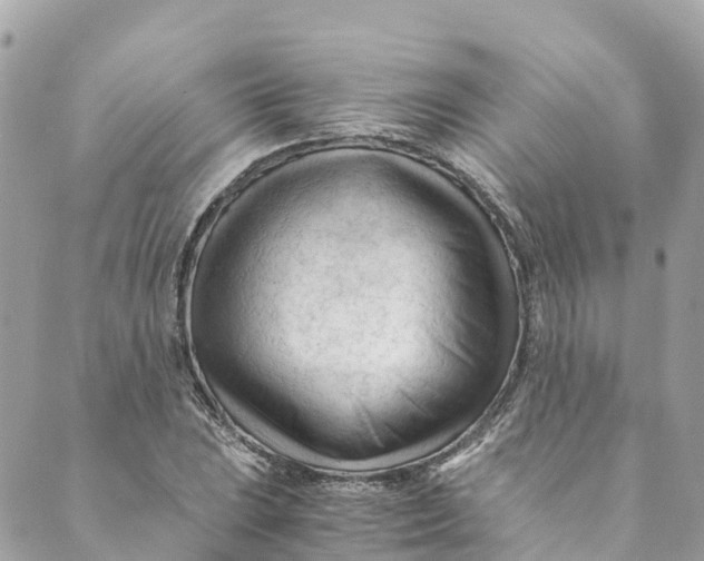 X0000088911023200706291524