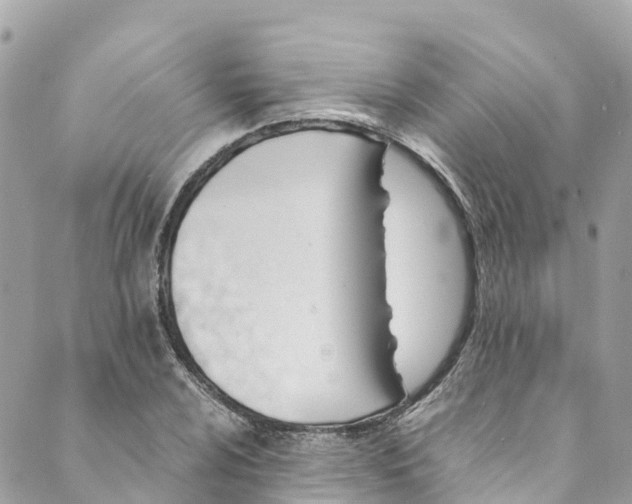 X0000088911024200706291524