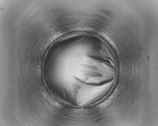 X0000088911025200706291524