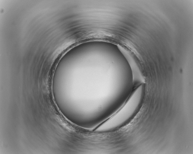 X0000088911026200706291524