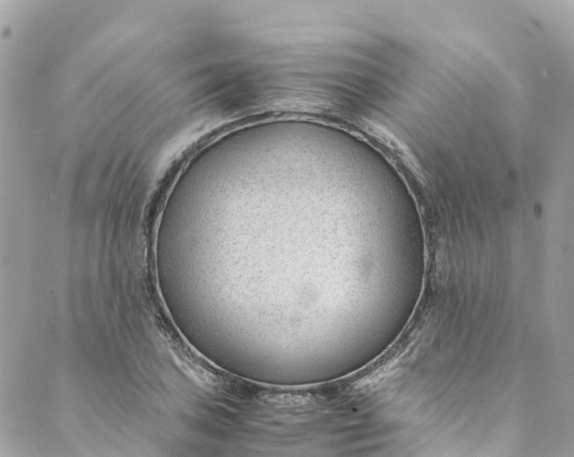 X0000088911027200706291524