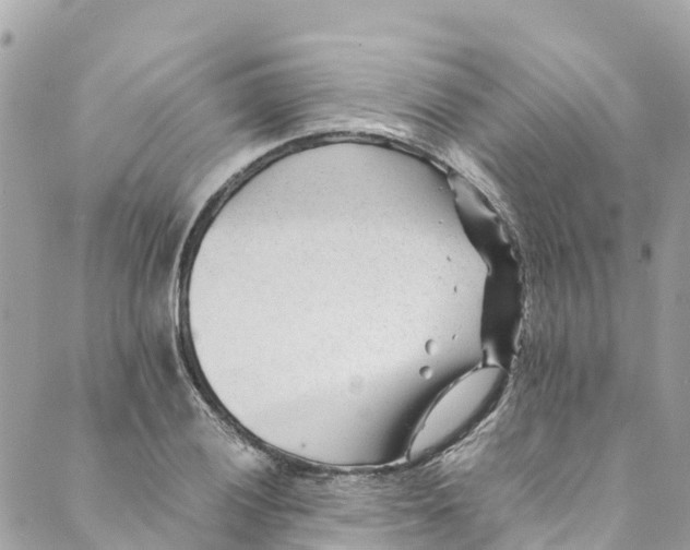 X0000088911028200706291524