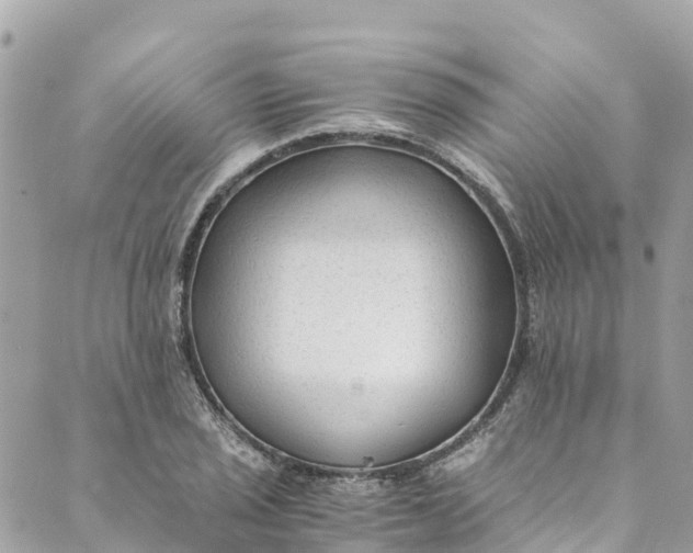 X0000088911029200706291524