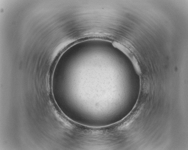 X0000088911030200706291524