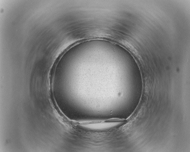 X0000088911031200706291524