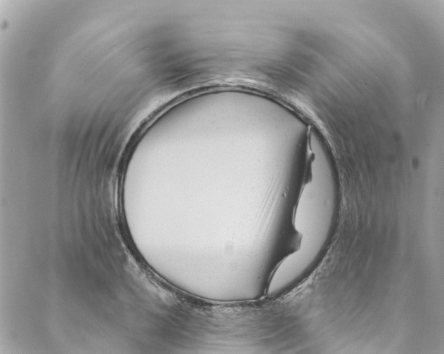 X0000088911032200706291524