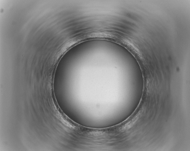 X0000088911033200706291524