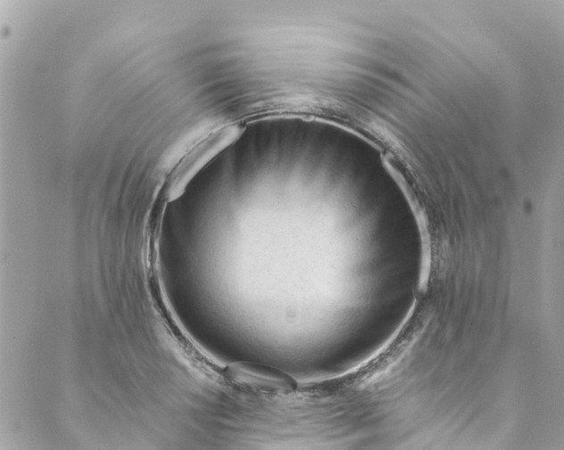 X0000088911034200706291524