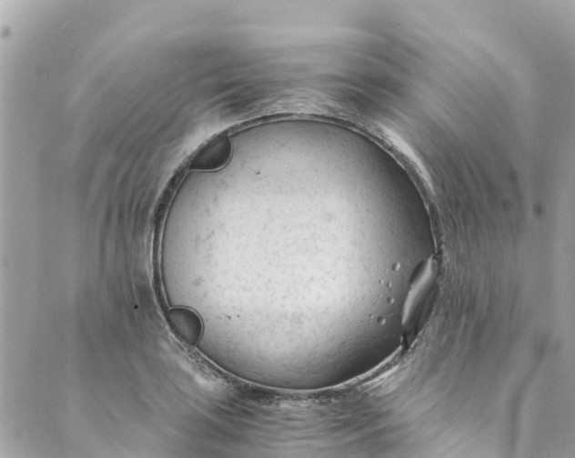 X0000088911035200706291524