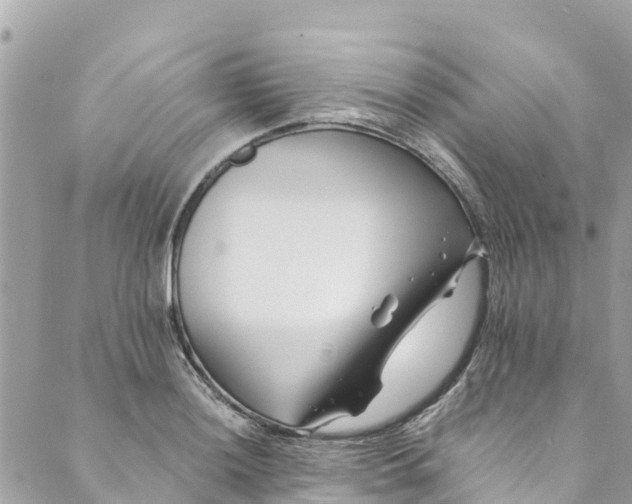 X0000088911036200706291524