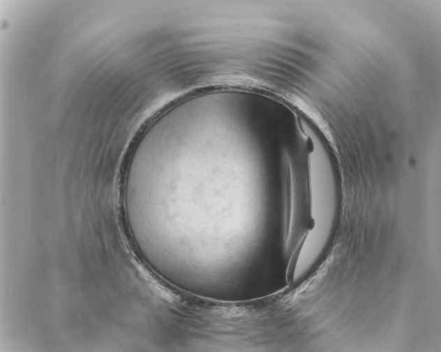 X0000088911037200706291524