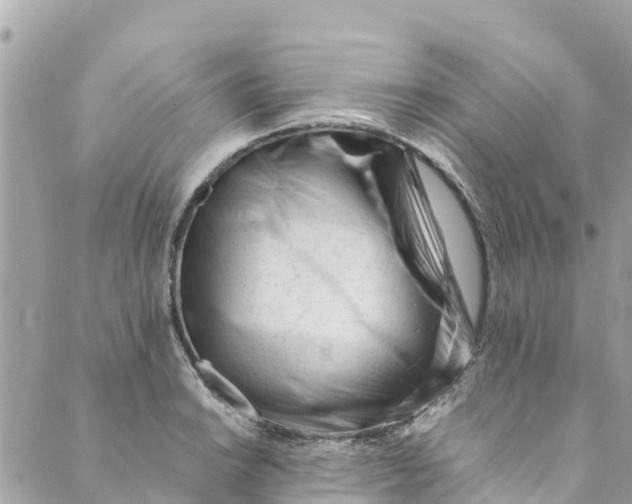 X0000088911038200706291524