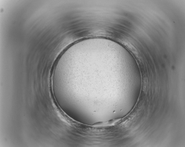 X0000088911039200706291524