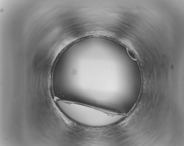 X0000088911040200706291524