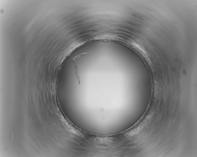 X0000088911041200706291524